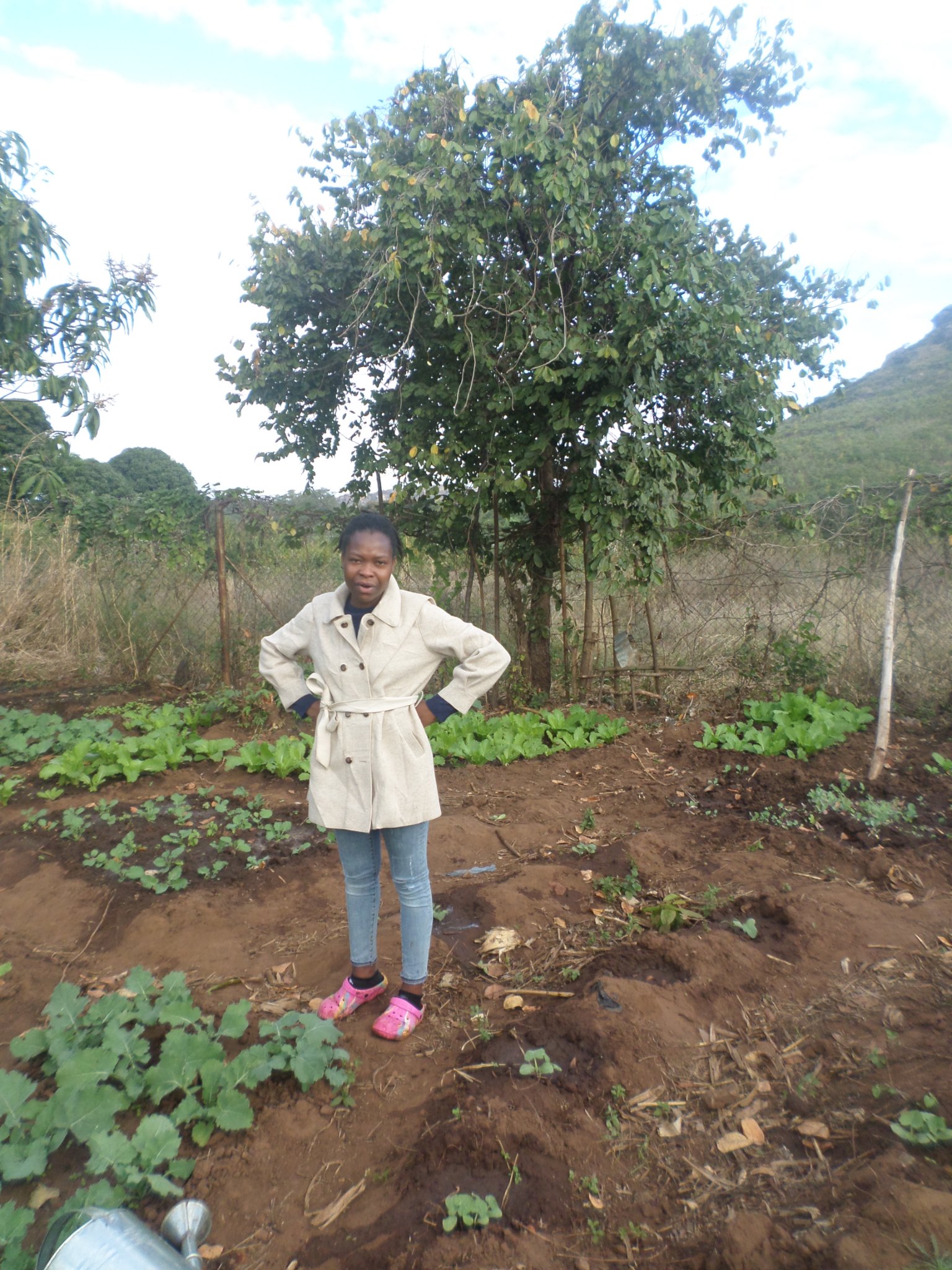 sustainable farming 