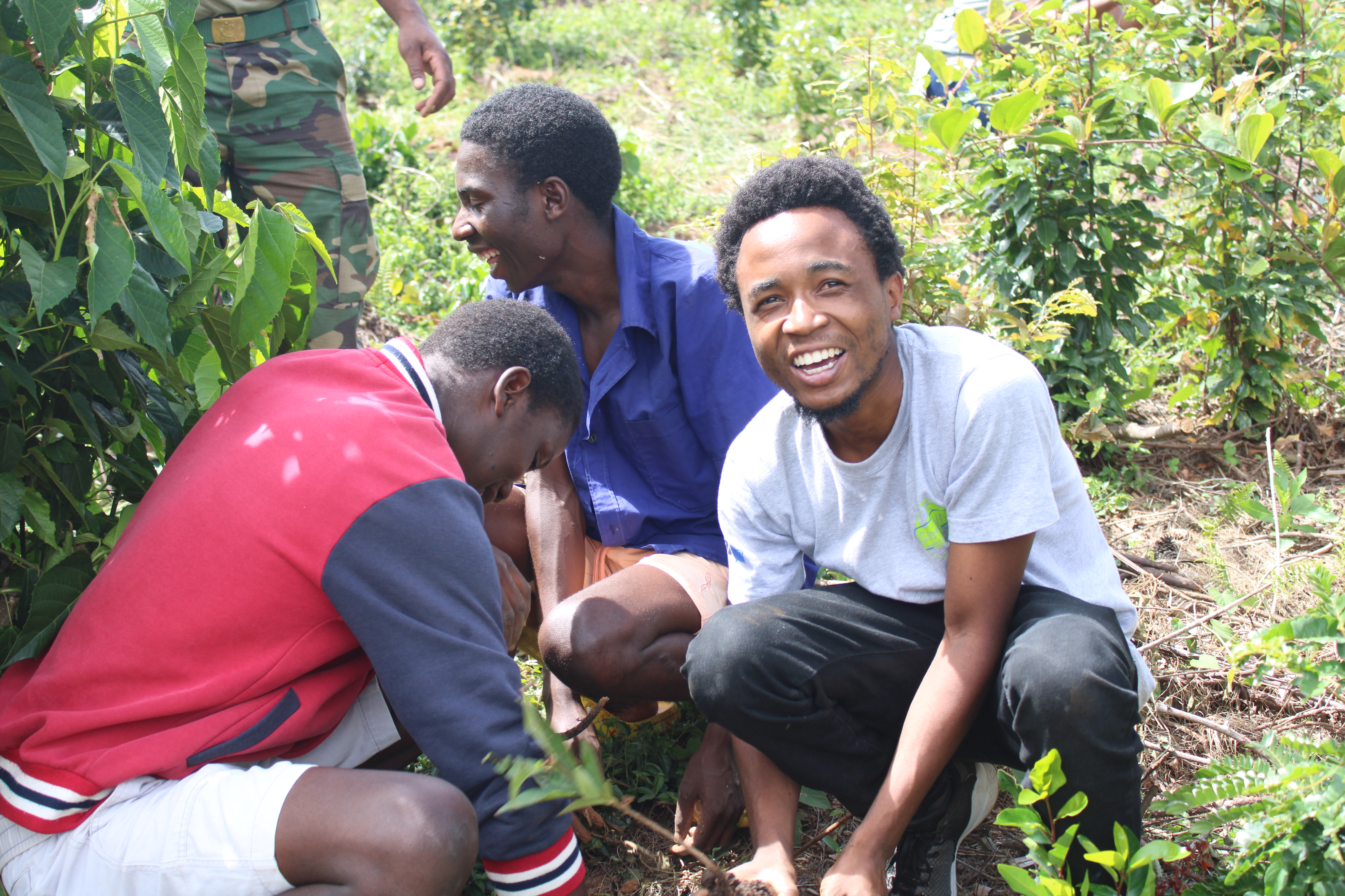 Save Zomba Plateau 